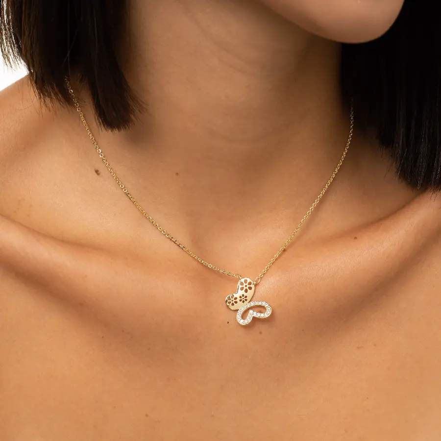 Conjunto borboleta cravejada