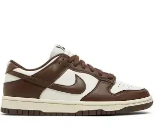 Nike Dunk Marrom